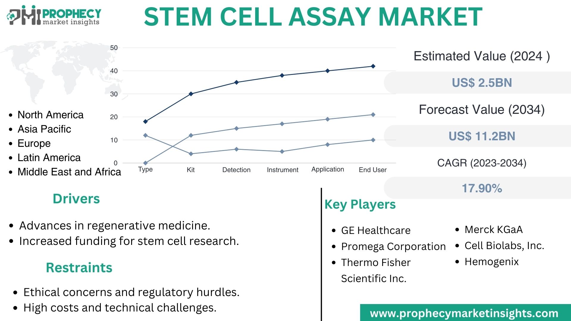 Stem Cell Assay Market